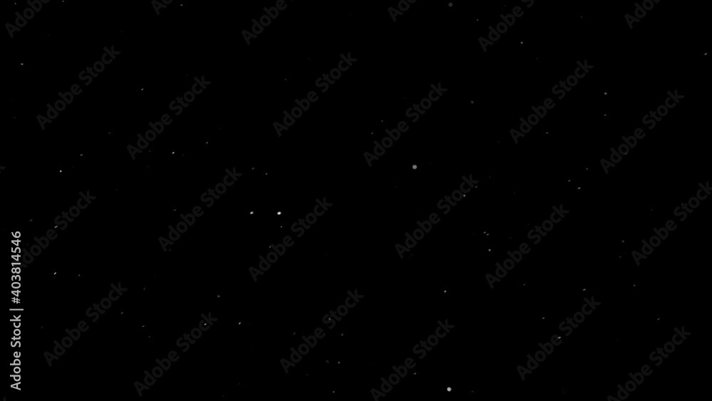 Wall mural natural organic dust particles floating on black background. dynamic dust particles randomly float i