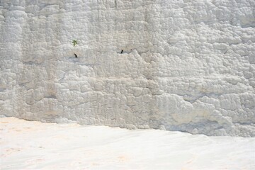Wall of White travertine terrace formations and pools in Pamukkale, Turkey