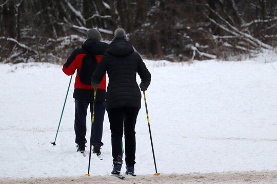 Couple Skiing, Leisure Outdoors. Woman And Man Skiers Walking In The Snow In The Winter Forest, Rear View