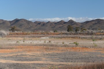 Kleine Karoo, eine Halbwüstenlandschaft in Südafrika