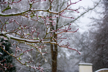 First snow 2021 - Aachen germany