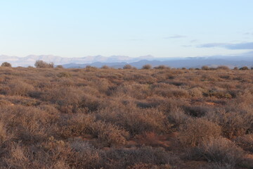 Kleine Karoo, eine Halbwüstenlandschaft in Südafrika