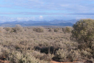 Kleine Karoo, eine Halbw&uuml;stenlandschaft in S&uuml;dafrika
