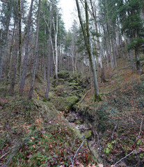 Herbst-Wanderung durchs Mühltal