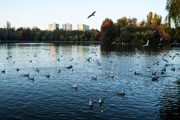 Alexandru Ioan Cuza Park, also known as Titan Park or IOR Park. Bucharest, Romania.