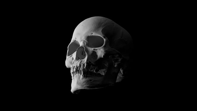 3d render of isolated skull model. High detailed. Black background. Rotation animation and light fades in and fades out. Close up shot.