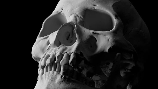 3d render of isolated skull model. High detailed. Black background. Rotation animation and light fades in and fades out. Close up shot.