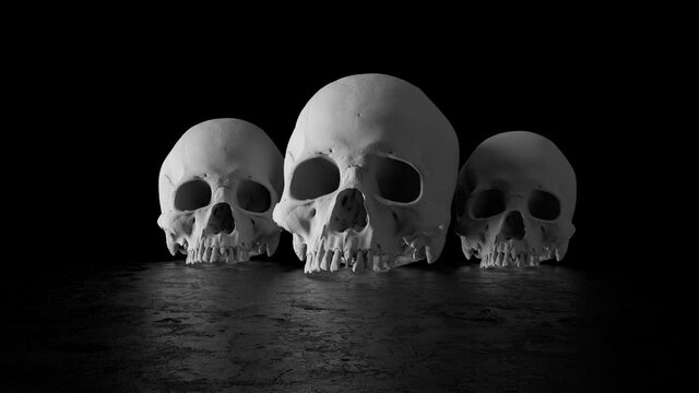 
3d render of high detailed skull geometry on reflective floor. 
Camera rotation with light fade in and out. Three craniums.