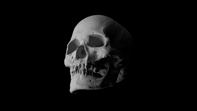 3d render of isolated skull model. High detailed. Black background.