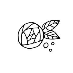 The Rose. Vector hand-drawn doodle illustration. Flower. Black and white outline.