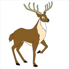 Reindeer with large antlers