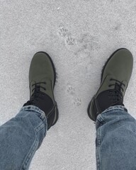 animal tracks in the snow