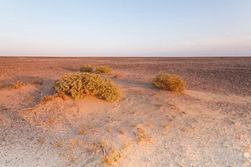 Fotobehang Landscape of central desert of Oman © AGAMI