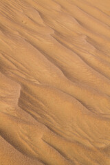 Landscape of central desert of Oman