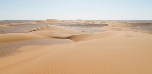 Deurstickers Landscape of central desert of Oman © AGAMI