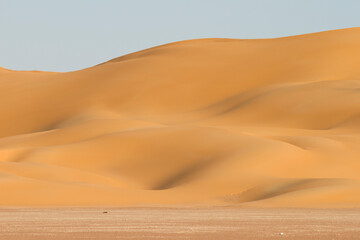 Fototapeta na wymiar Landscape of central desert of Oman