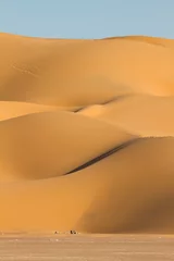 Deurstickers Landscape of central desert of Oman © AGAMI