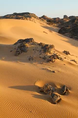Fotobehang Landscape of central desert of Oman © AGAMI