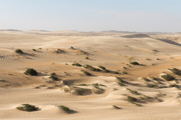Landscape of central desert of Oman