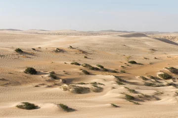 Foto op Plexiglas Landscape of central desert of Oman © AGAMI