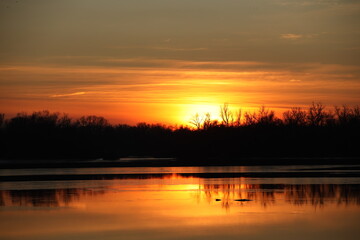 Dark silhouette of trees growing on the river bank in the rays of the evening sunset. Reflection in water. Calm mood to simulate the beauty of nature. A beautiful landscape conducive to reflection