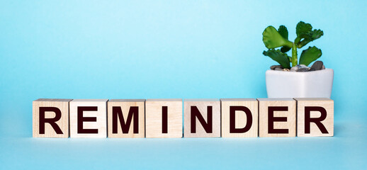 The word REMINDER is written on wooden cubes near a flower in a pot on a light blue background