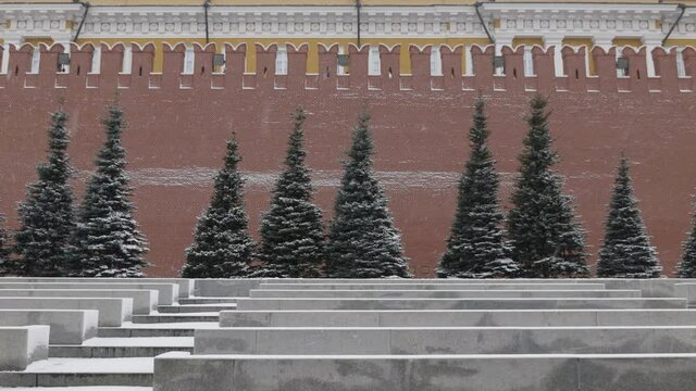 Moscow red square, Kremlin wall with blue fir trees in winter.