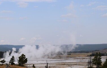 Geyser in Yellowstone National Park  