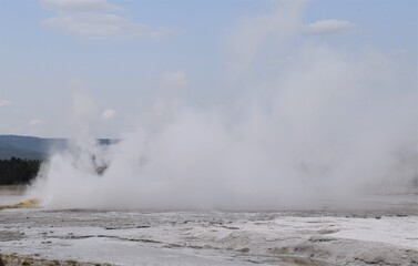 Geyser in Yellowstone National Park  