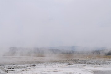 Geyser in Yellowstone National Park  