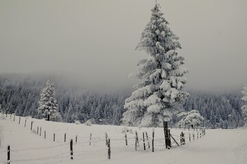 Paysage de neige
