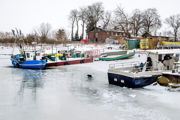 Port rybacki w Świbnie skuty lodem
