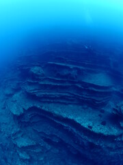 scuba divers exploring the reefs and  rocks ocean scenery topography underwater landscape