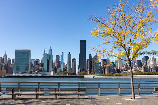 Midtown Manhattan Skyline seen from the Riverfront of Long Island City Queens New York with Empty Park Benches and a Colorful Tree during Autumn