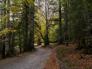 Obraz premium Views on the autumn hiking route in the Ordesa valley, Aragonese Pyrenees, Spain