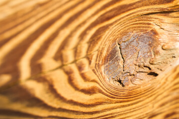 Asteinschluss in einem Holzbrett aus Zirbe.
Closeup von einem Ast.