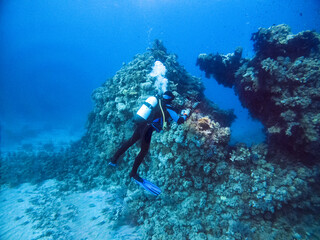 diver takes pictures of fish on a coral reef in the Red Sea