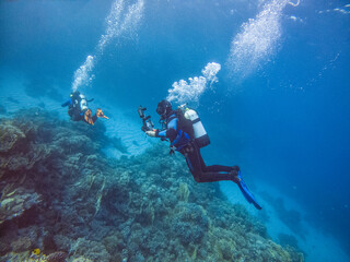 diver takes pictures of fish on a coral reef in the Red Sea