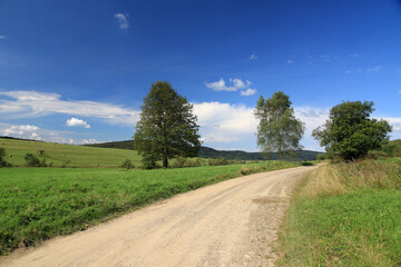 Fototapeta na wymiar Landscape of Czeremcha - former and abandoned village in Low Beskids, Poland