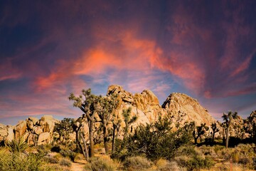 Sonnenuntergang im Joshua Tree National Park Kalifornien USA