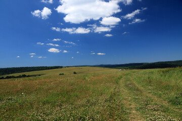 Landscape of Low Beskids near Czystogarb village, Poland