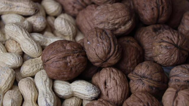 Macina Noci Fai-da-te Per Burro Di Arachidi E Creme Di Nocciole: Compatto, Portatile E Personalizzabile