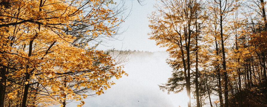 Foggy morning view of lake through the trees on an autumn day.