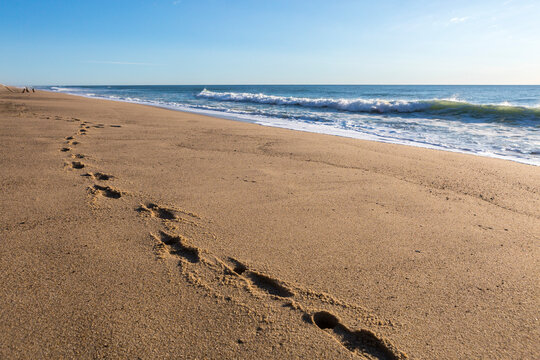 Footprints in the sand on pristine Whitecrest Beach on Cape Cod