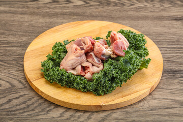 Raw chicken stomach for cooking