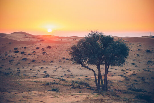 The Desert in Ras al Khaimah, United Arab Emirates, Asia