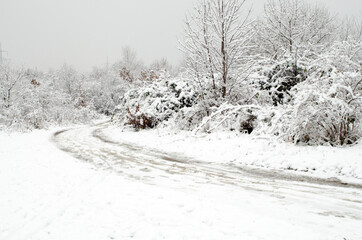 Fototapeta premium snow covered road in winter