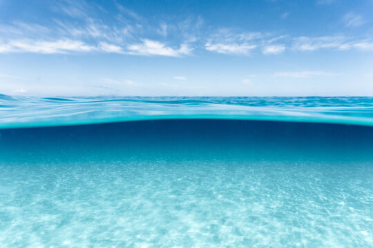 over-under image of surface and clear water in hawaii
