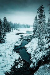 A wild mountain river scene with beautiful frozen and snow landscape and dramatic moody sky. Wonderful nature lake in winter times. Exploring in the snow. Oderteich, Harz Mountains National Park
