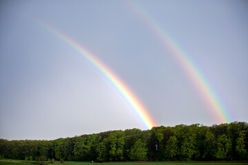 Regenbogen
